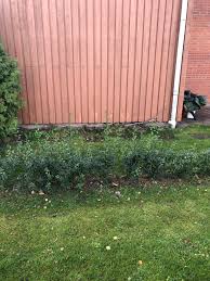 Image result for site:byggahus.se Caparol