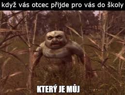 Język, który jest tak zbliżony do języka polskiego, sam w sobie wywołuje u nas uśmiech. Czeskie Memy To Cos Czego Potrzebowales Wlasnie Dzis Nic Tak Nie Poprawi Humoru W Te Chlodne Dni Polska Times