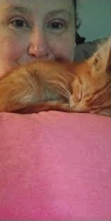 My little (not so little) house tiger Colby