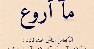 دائرة الوعي أنت لست القانون بقلم مدبولي عتمان أنا القانون أنا الحكومة شاعت هذه المقولة خلال السنوات الأخيرة على أ arabic calligraphy law calligraphy