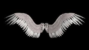 New Angel Wings By Shadavar Stock On Deviantart Wings Wallpaper Angel Wings Png Wings Drawing