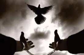 bitecek bu zulÃ¼mâ€¦ ile ilgili gÃ¶rsel sonucu