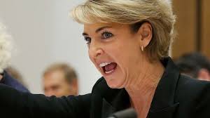 Cash has been a liberal party of australia member of the australian senate since july 2008. Michaelia Cash And Losing In The Art Of Politics New Politics