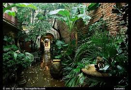 Pin By Blastmilk Emporium On Garden New Orleans French Quarter New Orleans Courtyard Garden