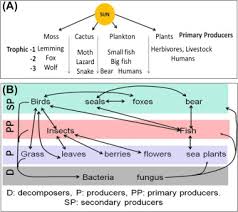 You will see that depending on what is out there, you will have all kinds of different looks depending on the different species. Food Chain An Overview Sciencedirect Topics