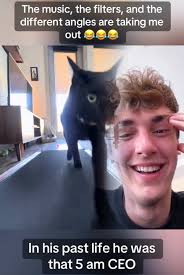 Oliver The Cat Treadmill