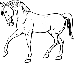 Caballos para colorear para niños y mayores