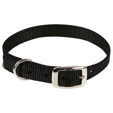Enter your email address to receive alerts when we have new listings available for kid goats for sale. 5 8 Goat Collar Kid Qc Supply
