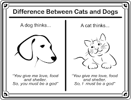 Maybe you would like to learn more about one of these? Cat And Dog Coloring Pages Cat And Dog Arvin61r58 Printable Coloring4free Coloring4free Com