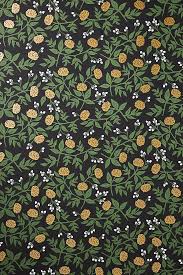 We did not find results for: Rifle Paper Co Peonies Wallpaper Anthropologie