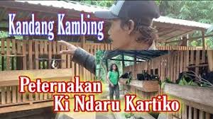 Untuk menghemat pembuatan kandang kambing modern model panggung, anda bisa memakai bahan atau material yang mudah dicari dengan harga yang murah tetapi memiliki daya kekuatan yang tahan lama. Descarga De La Aplicacion Kandangkambing 2021 Gratis 9apps