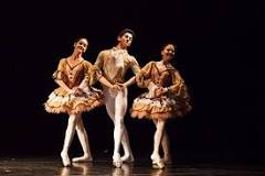 Resultado de imagem para bailarina