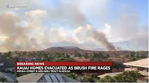 Check spelling or type a new query. Hawaii Fires News Center Hawaii Wildfire Management Organization