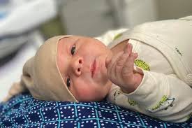 Organic Roots Summer 2024 by North Country School & Camp Treetops