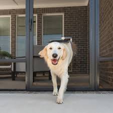 But a 'furrent' you may still want to control. Petsafe Pet Screen Door Dog And Cat Flap For Screen Door Window Storm Door And Porch Use Large Walmart Com Walmart Com