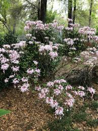 We did not find results for: New Mobile App From Uf Ifas Can Help You Find The Best Plants On The Go