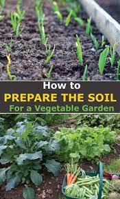 How To Prepare The Soil For A Vegetable Garden Vegetable Garden Soil Small Vegetable Gardens Container Gardening Vegetables