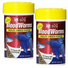 How Often Do You Need To Feed A Betta Gefcoral