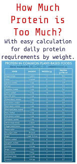 How Much Protein Is Too Much High Protein Recipes