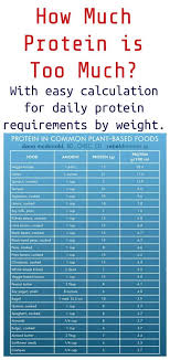 how much protein is too much high protein recipes