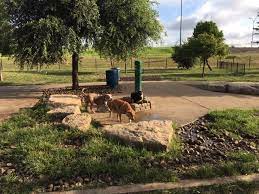 Tom Slick Dog Park Is A Water Loving Dogs Dream Places For Pups Dog Park Dog Love Dogs