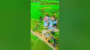 ❤️❤️❤️❤️