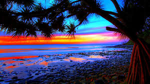 1920x1200 hd wallpapers for laptop luxury cool laptop wallpapers hd pixelstalk net. Tumblr Sunset Wallpaper Laptop Novocom Top