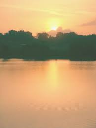 Lorong halus wetland, singapur konumunda yer almaktadır. è‡ªè¡Œè½¦ä¹‹æ—… Lorong Halus èµæ—¥å‡ºsunrise At Lorong Halus Wetland