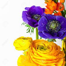 Closeup Of Orange Ornithogalum Ranunculus Anemone Flowers On Stock Photo Picture And Royalty Free Image Image 121799678