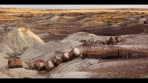 In addition, there are campgrounds in windslow and at. Petrified Forest National Park 10 Tips For Your Visit Wtsp Com