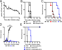 The cell survival curves in fig. Glucose Metabolism Mediates Disease Tolerance In Cerebral Malaria Pnas