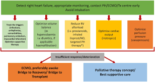 Image result for Right Heart Failure