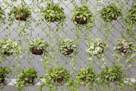 50 Awesome Vertical Garden Ideas Photos Hanging Plants Hanging Garden Vertical Garden