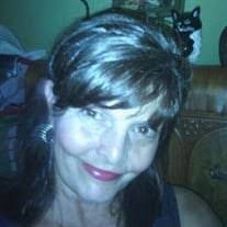 David Isabell's Instagram, Twitter & Facebook