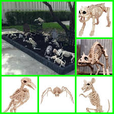 Halloween Skeleton Human And Animal Bones Decoration Halloween Skeletons Bone Decorations Animal Skeletons