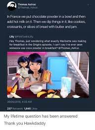 Dude The French Are Genius I Want To Try That Miraculous Ladybug Anime Miraculous Ladybug Memes Miraculous Ladybug Comic
