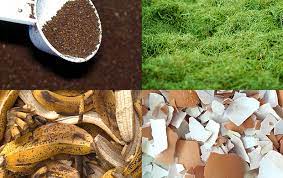 Powdered milk can also make a good vegetable garden fertilizer considering the fact that it is almost pure calcium. Best Organic Garden Fertilizers You Can Make The Garden Glove