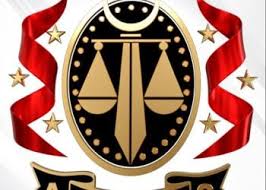 Chris Steven Archives