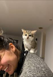 Clear the runway. She's about to take off. Annoyed by my existence.