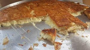 levent borekcilik gezgin tatbilir