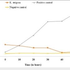 Image result for Kotschya