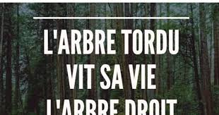 L Arbre Tordu Vit Sa Vie L Arbre Hommes Et Methodes Facebook Mobile Legends