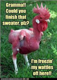 Trailer war cold crisis missile cuban russia vietnam millionaire age stone the queens ops black duty of call cod latinodude18. Animal Comedy Chicken Animal Comedy Animal Comedy Funny Animals Animal Gifs Cheezburger