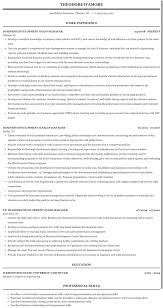 What is business development role. Business Development Sales Manager Resume Sample Mintresume