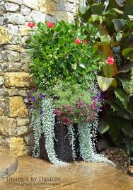 Pin On Container Gardening