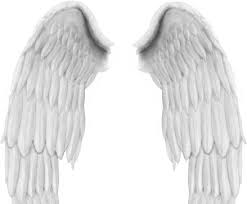 Our white angel wing overlays give your photos that heavenly touch that youve been looking for, these high quality wings can be Angel Wings Psd File Free Psd In Photoshop Psd Psd File Format Format For Free Download 1 89mb
