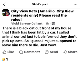 Lost Pets of Amarillo, TX