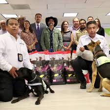 Presentamos los primeros binomios caninos para la detección oportuna del gusano barrenador. Se trata de “Hummer” y “Havana”, dos perros adoptados en un albergue y capacitados para detectar animales con posible presencia