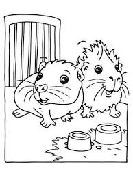 Nette tiermotive, lustige comicfiguren oder schöne blumen, zum beispiel eignen sich meerschweinchen malvorlage besonders gut. Pin On Meerschweinchen