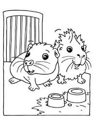 Malvorlagen fur das leben eines kafers kizi coloring pages. 26 Meerschweinchen Ideen Meerschweinchen Niedliche Meerschweinchen Meerschweinchen Futter